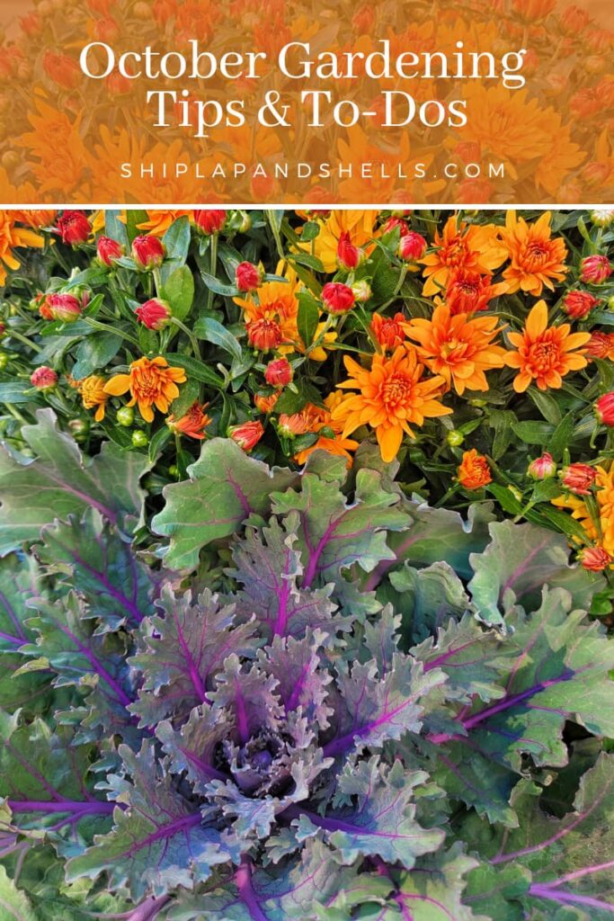 October gardening tips and to dos