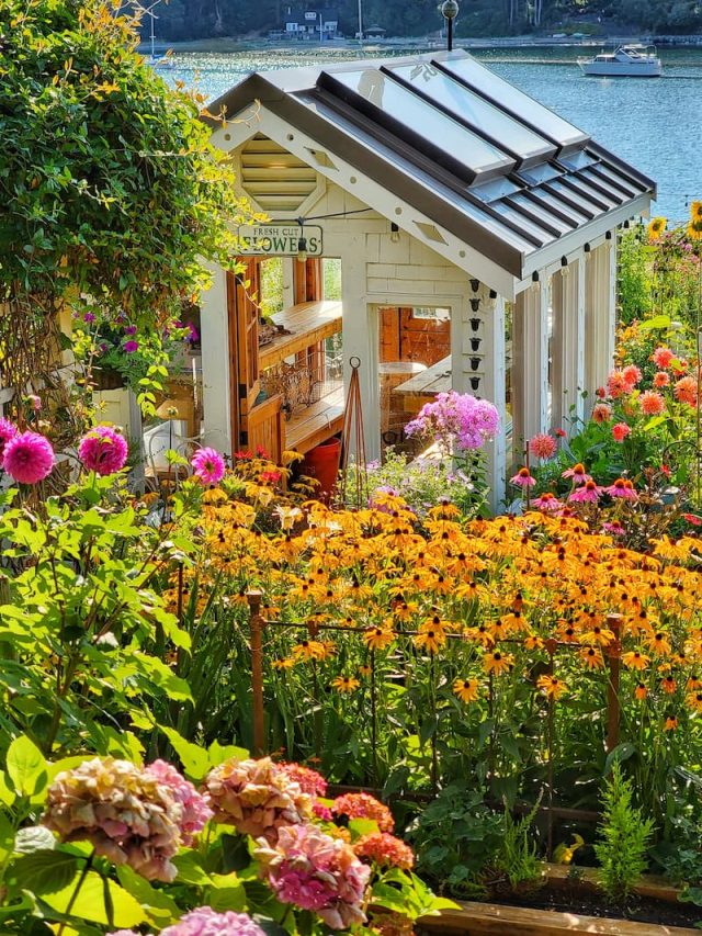 September Gardening Tips and To-Dos for the Pacific Northwest