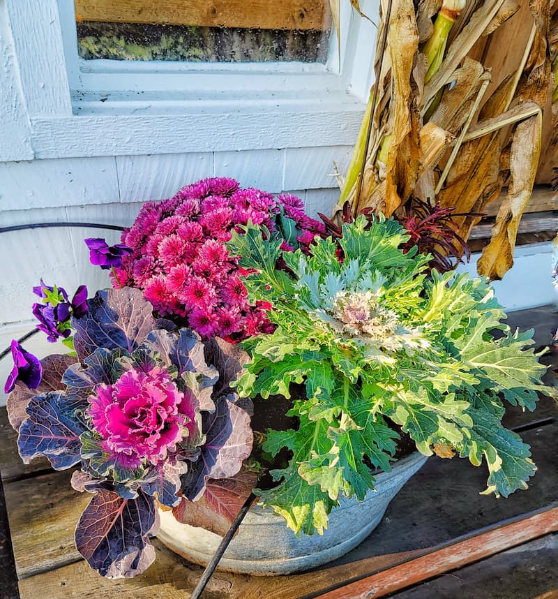 fall porch decorating ideas: fall foliage and flowers