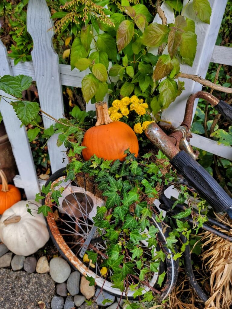 Outdoor Fall Decorating Ideas: bike basket with ivy, mums, and pumpkins