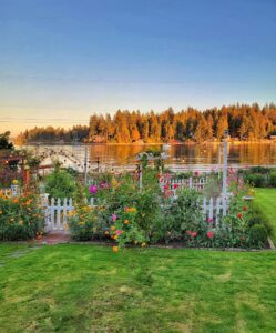 What's Blooming in My Pacific Northwest Fall Season Garden - Shiplap ...