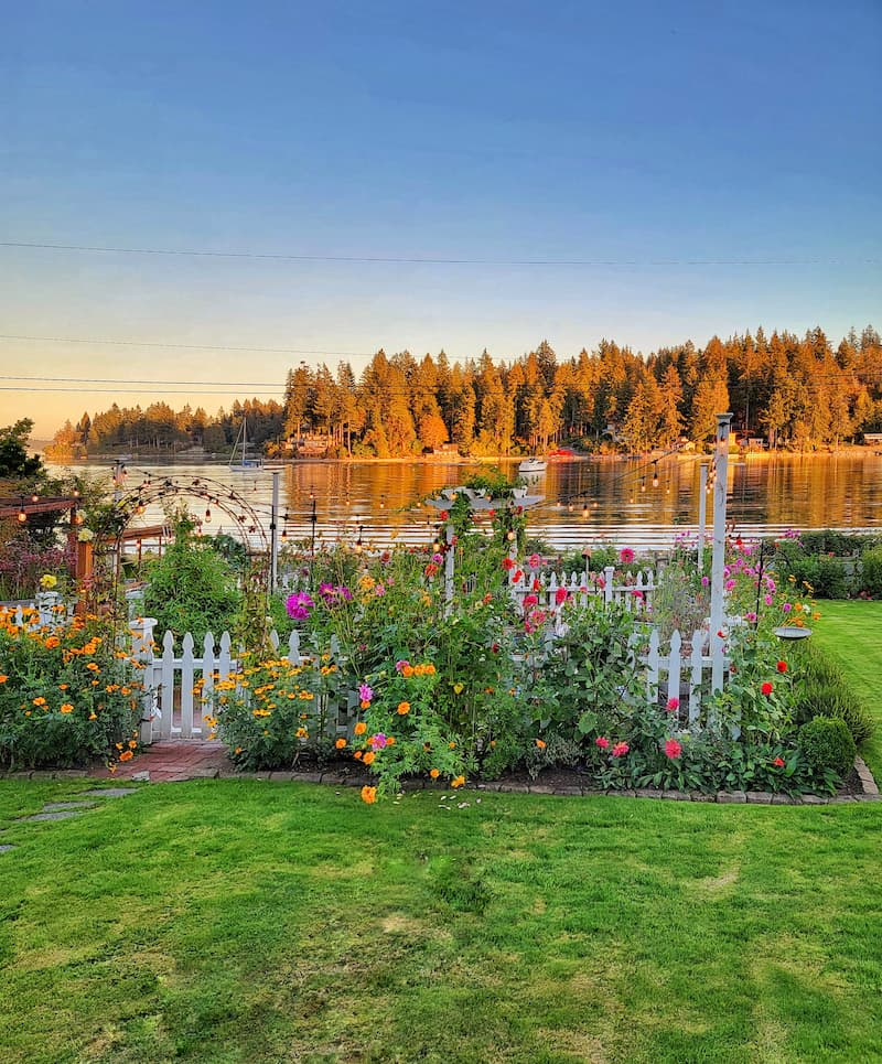 cottage garden in the fall with white picket fence and waterview