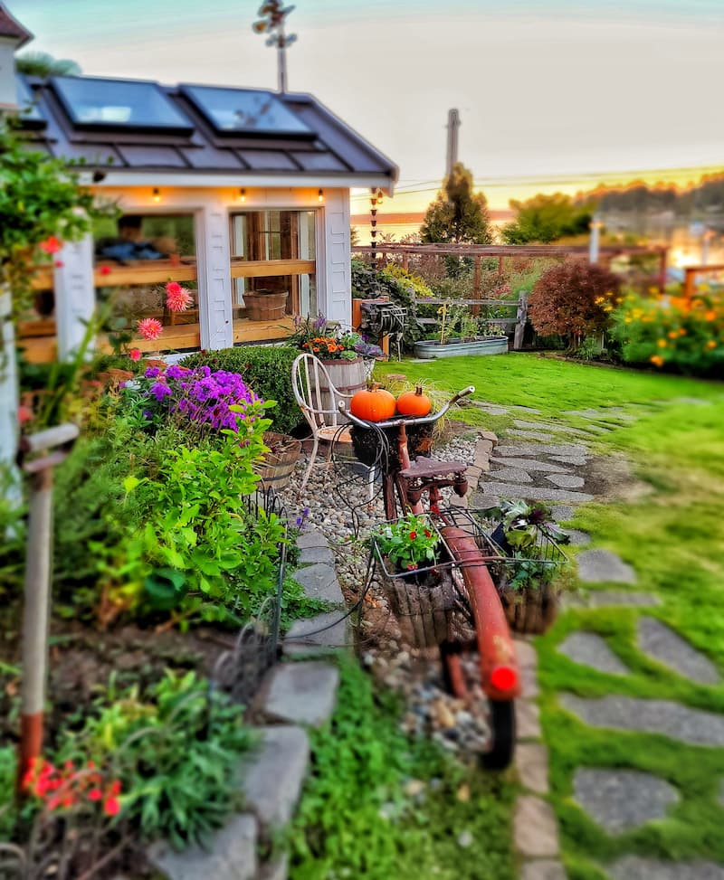 fall garden view with vintage bile