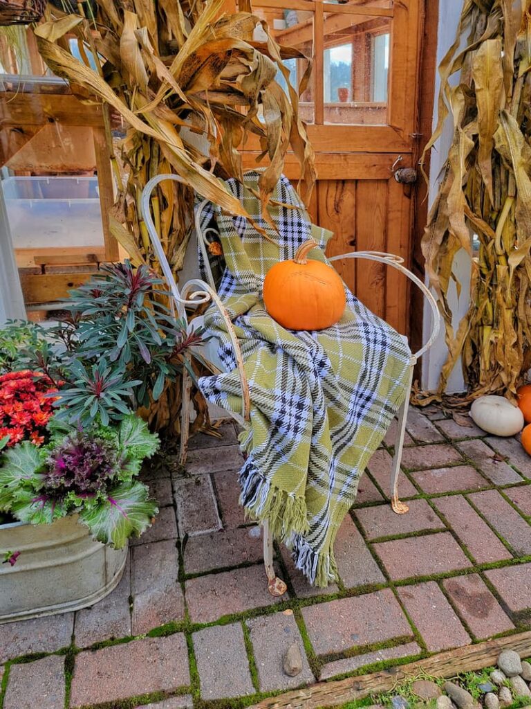 green plaid blanket and pumpkin on vintage chair