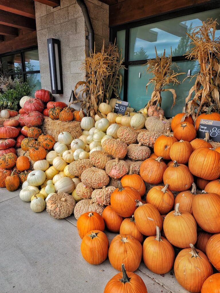 variety of pumpkins