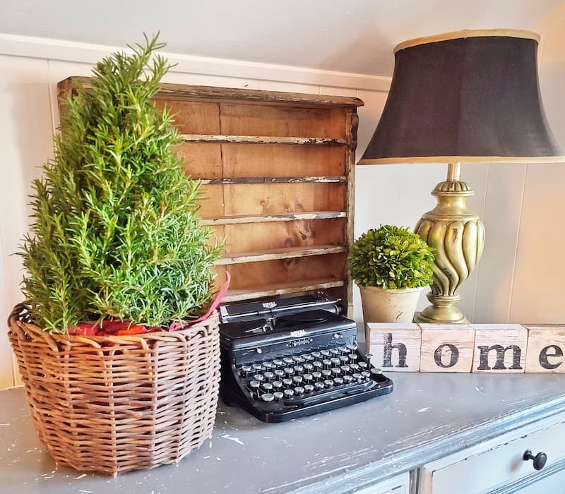 rosemary tree and vintage typewriter