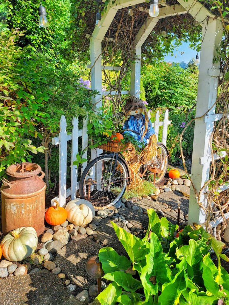 scarecrow on vintage bike on fall garden path