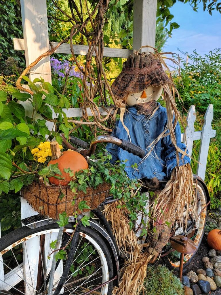 scarecrow on vintage bike in fall garden