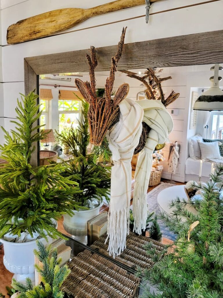 Christmas natural elements:  wooden reindeer head with cream scarf with Norfolk pine tree
