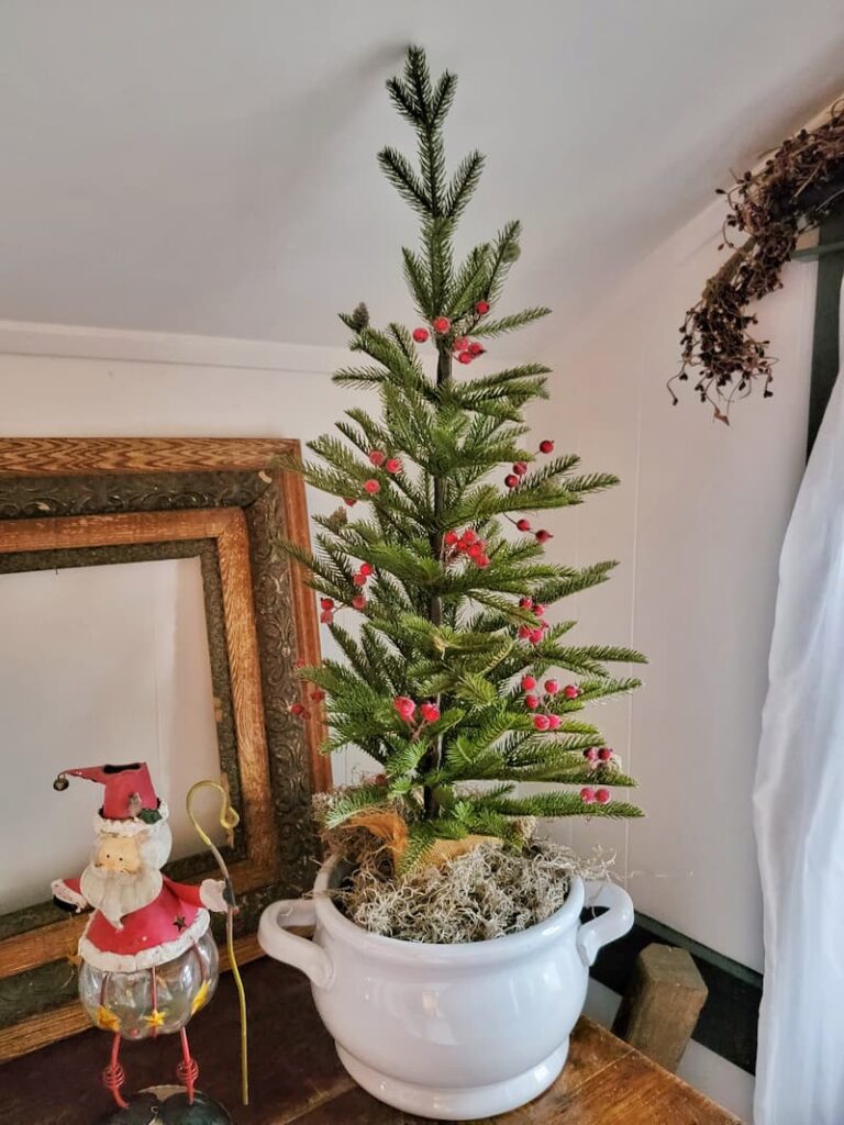 mini Christmas tree with berries