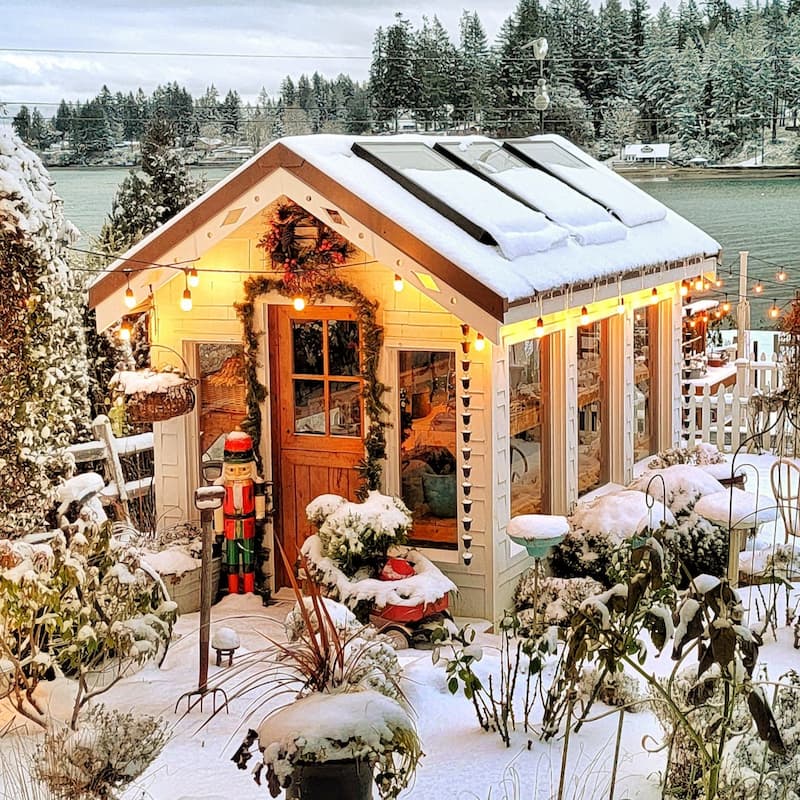 Christmas greenhouse in the snow