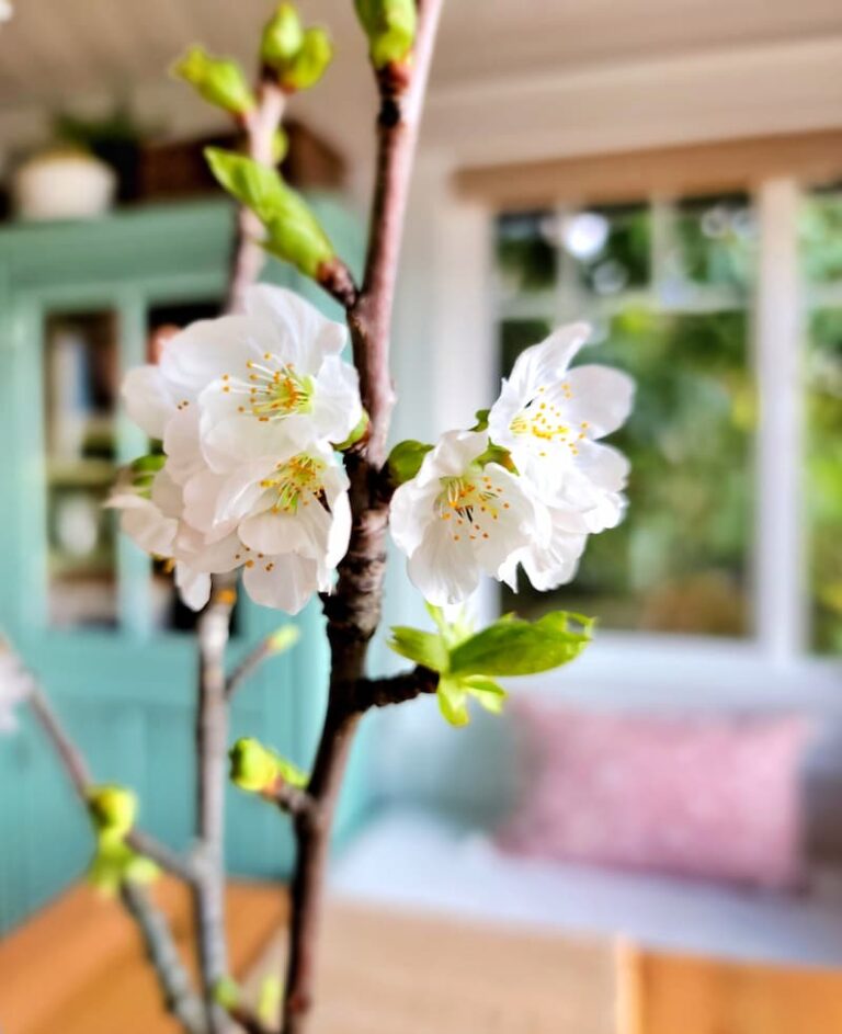 Saltwater Sounds: Sunshine, Seeds, and Small Victories