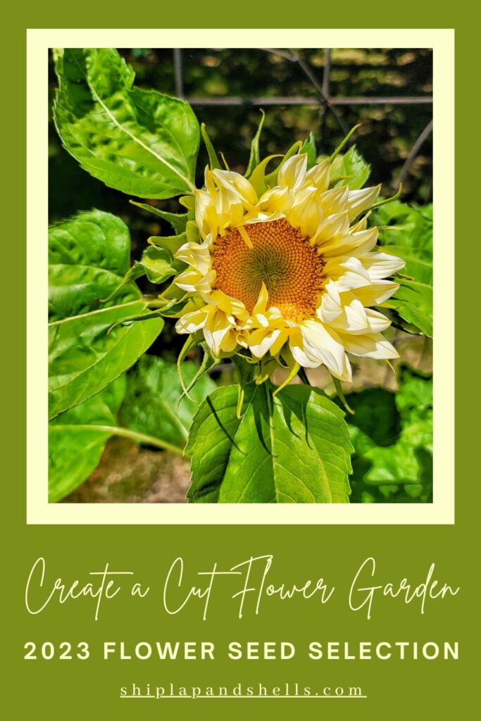 create a cut flower garden 2023 flower seed selection
