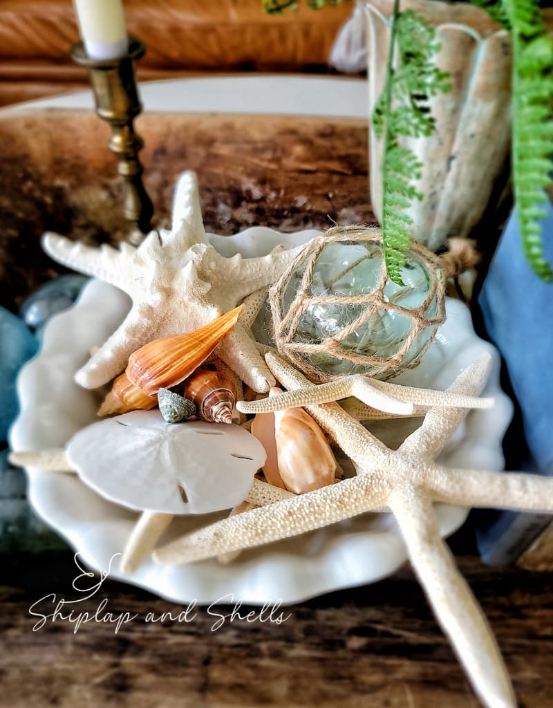 coastal seashells in a white bowl
