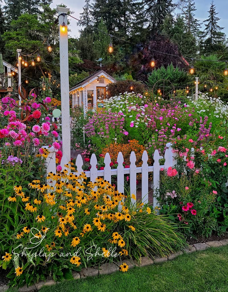 cut flower garden and white picket fence