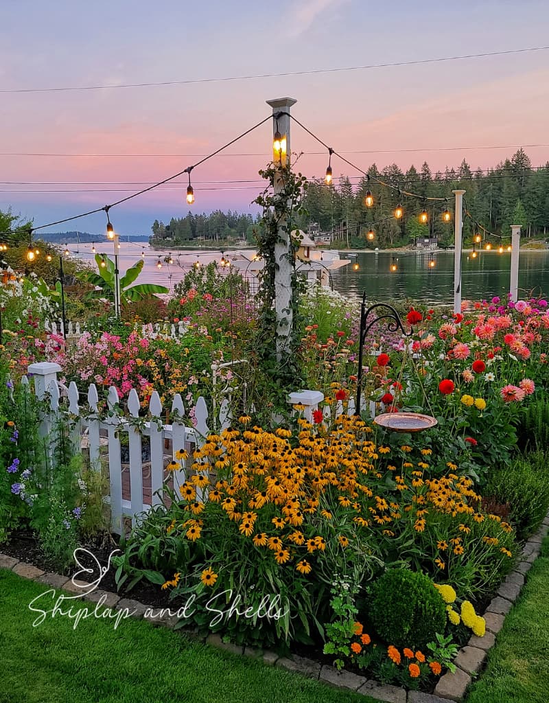 cut flower garden with white picket fence and waterview