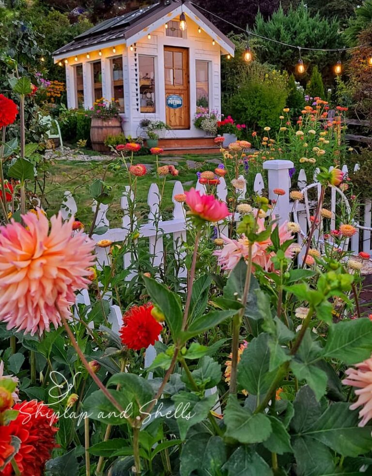 16 Plant Favorites for a Picture-Perfect Cottage Garden