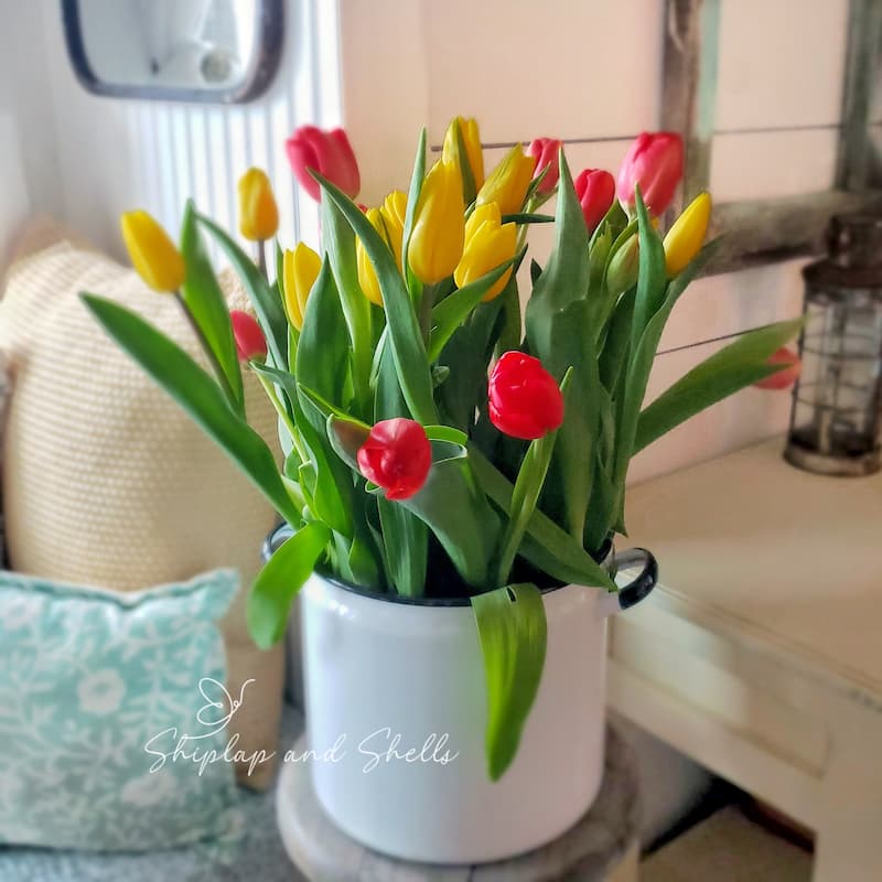 spring thrift store finds: enamel pot full of red and yellow tulips