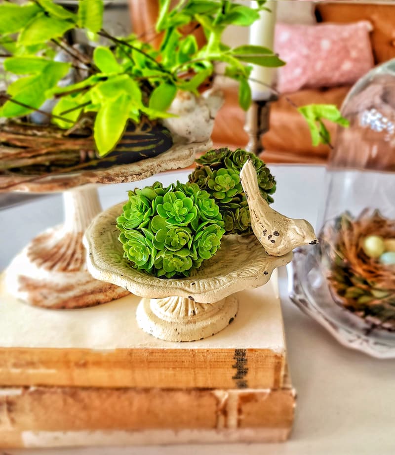 spring vignette with mini bird bath and greenery