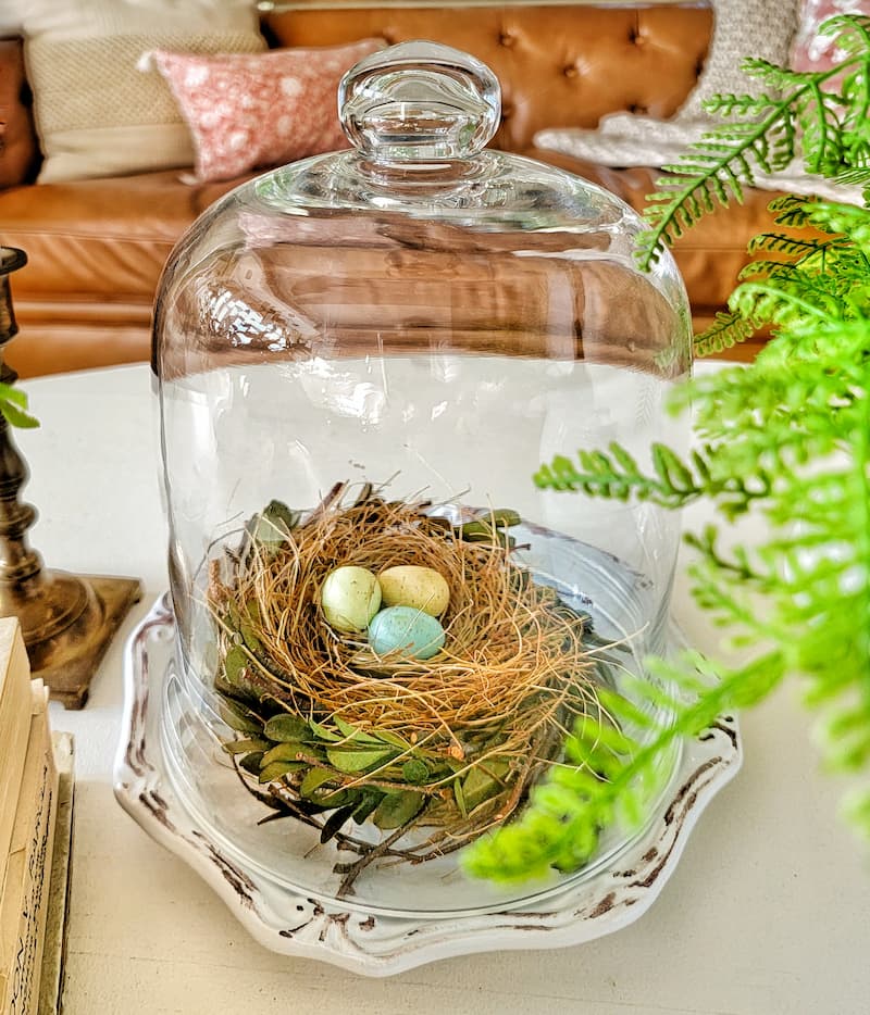 glass cloche with nest and eggs