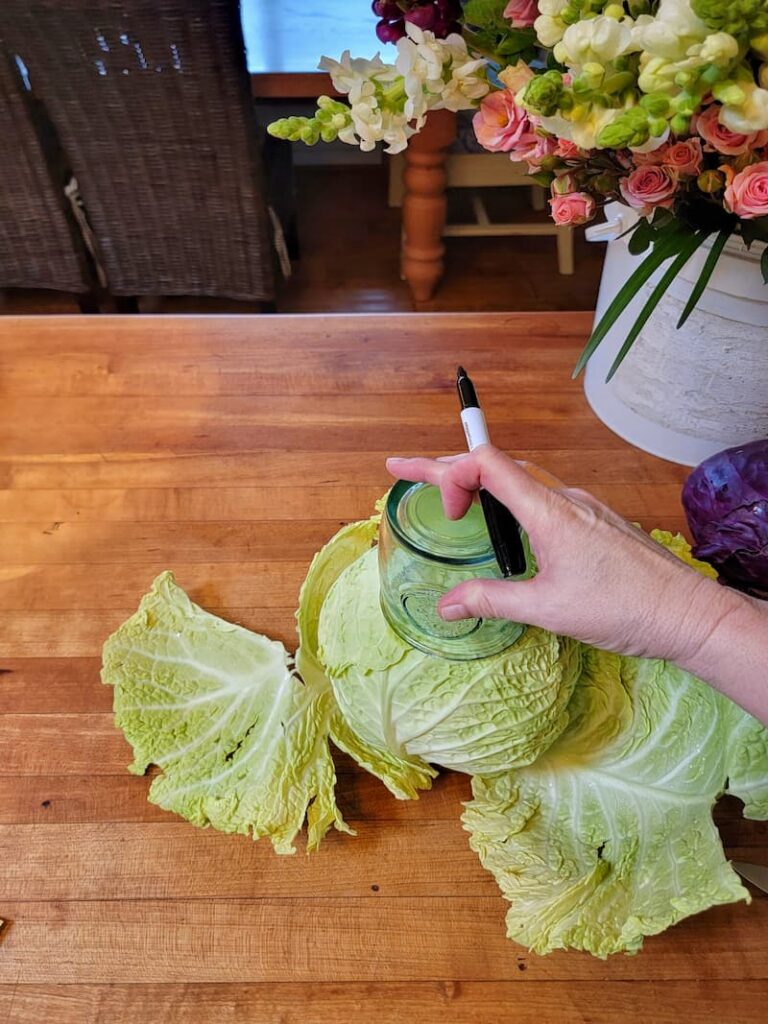 tracing a cup line around cabbage