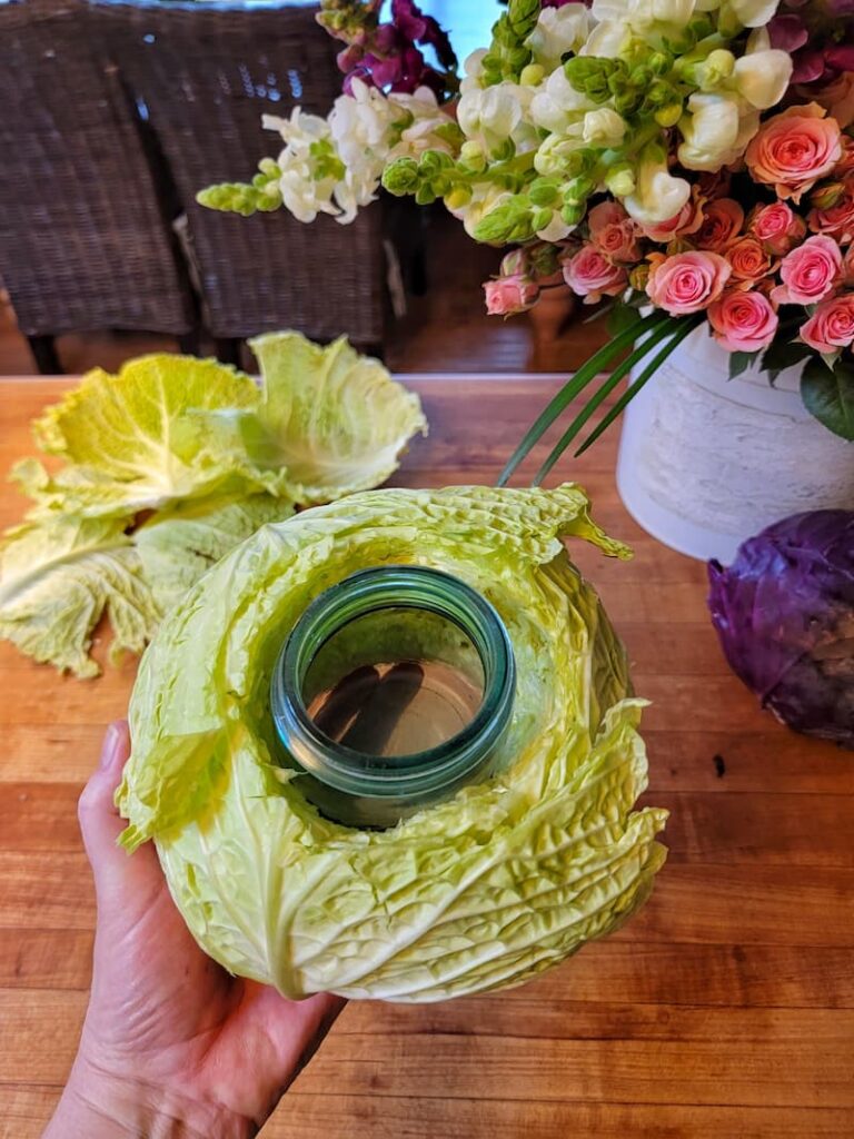 cabbage hollowed out and vase stuck through the middle