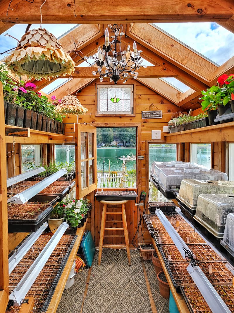 What's Growing in My Early Spring Blooming Garden - Shiplap and Shells