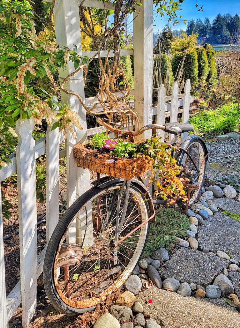 What's Growing in My Early Spring Blooming Garden - Shiplap and Shells