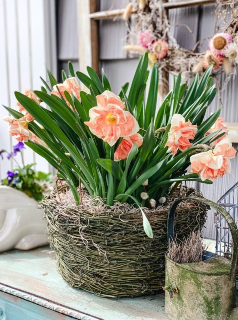 spring flowers in basket with vintage decor