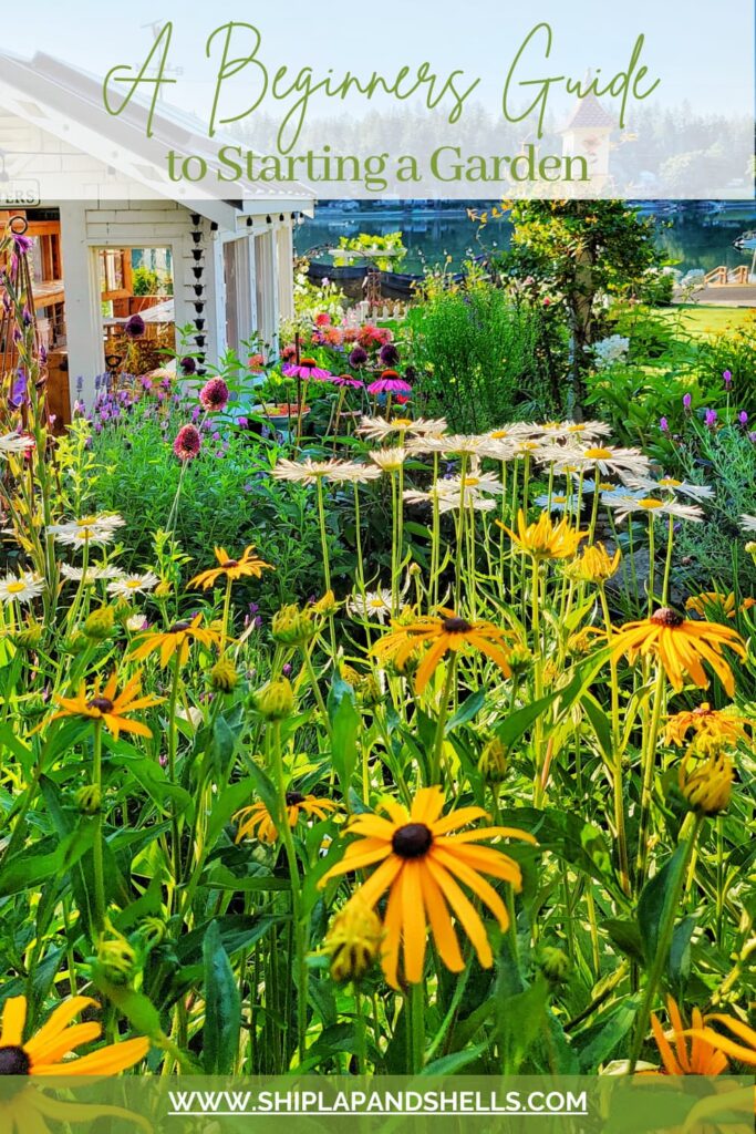 How to Start a Flower Garden