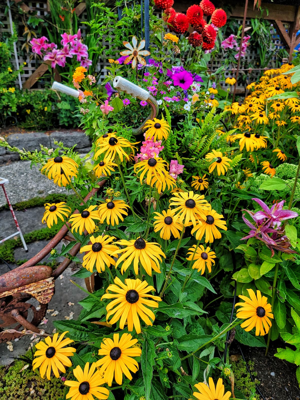 Susan, Garden