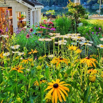 A Beginners Guide to Flower Gardening: How to Get Started