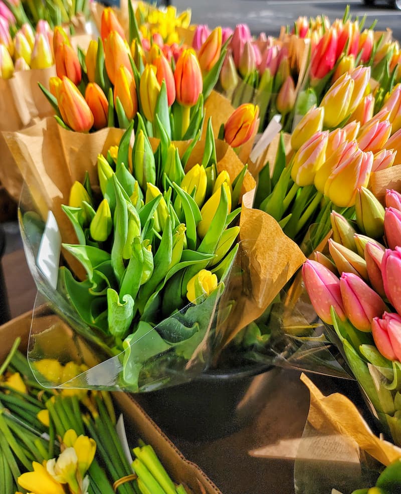 tulips at Trader Joe's
