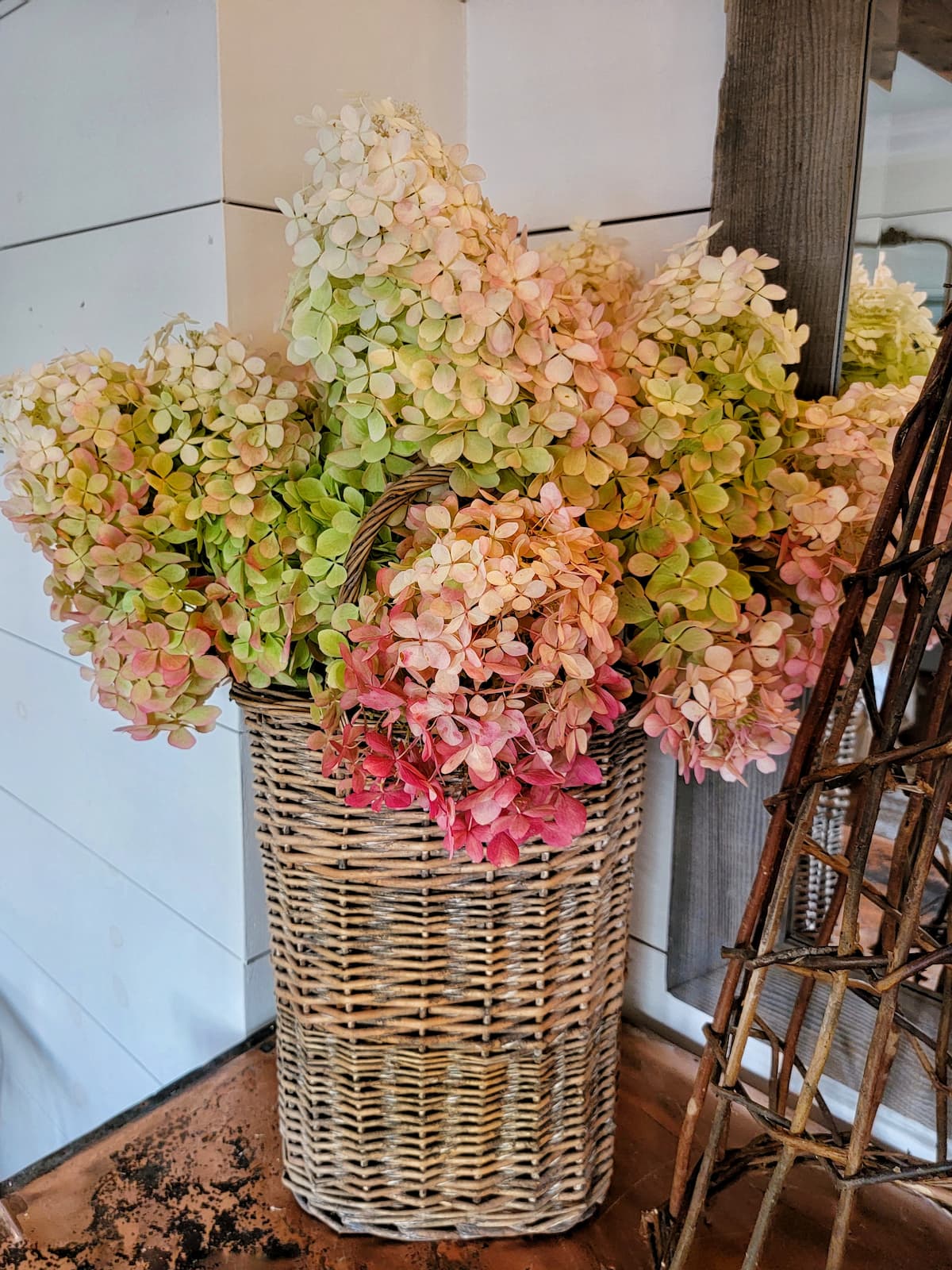 drying hydrangeas in wicker basket