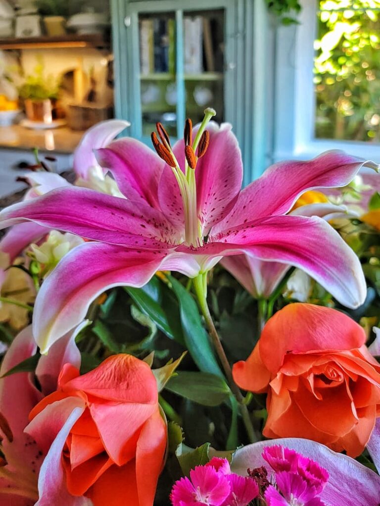 up-close view of pink lilies