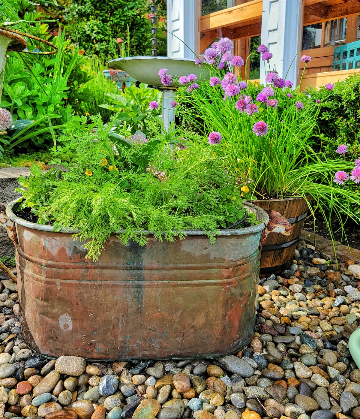 How to Grow a Flower Container Garden for Beginners - Shiplap and Shells