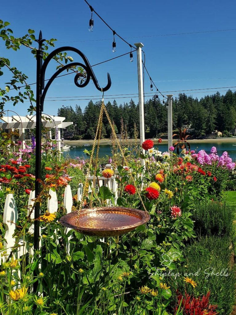 creating cottage garden: copper birdbath and flowers