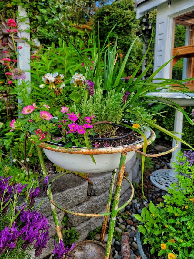 cropped-flower-container-2-SQ-1200.jpg