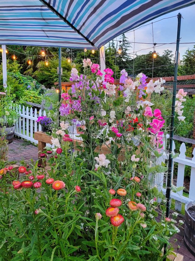 Safeguard Your Garden from Scorching Heat