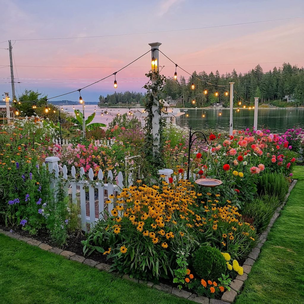 fall blooming plants in the cut flower garden such as black-eyed Susans and dahlias