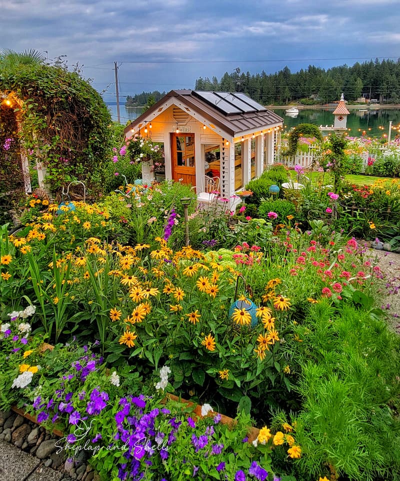 greenhouse and cottage style garden flowers