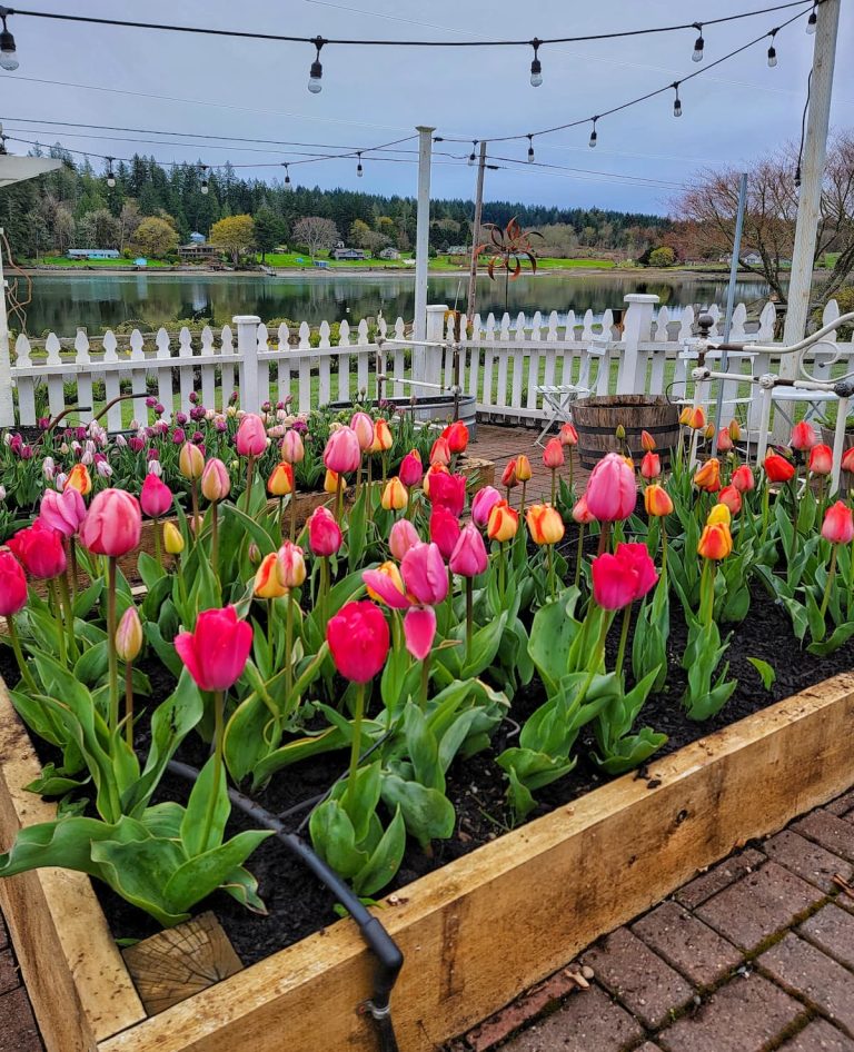 How to Grow and Care for Your Spring Bulb Flowers