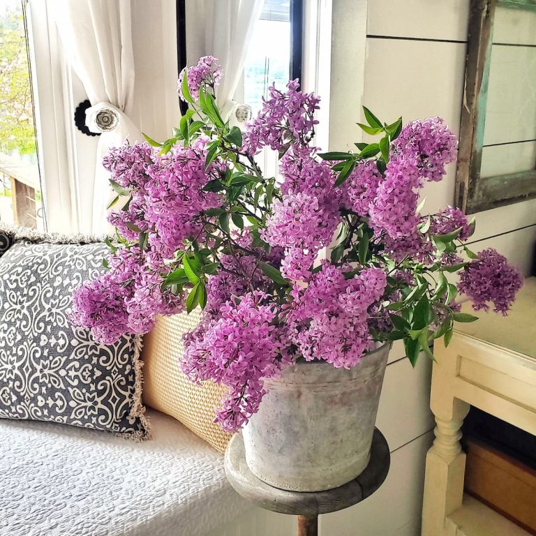 15 Spring Cottagecore Decor Ideas For A Cozy Nature Inspired Home