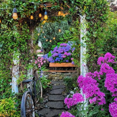 Cottage Garden Design Ideas to Create a Charming Garden