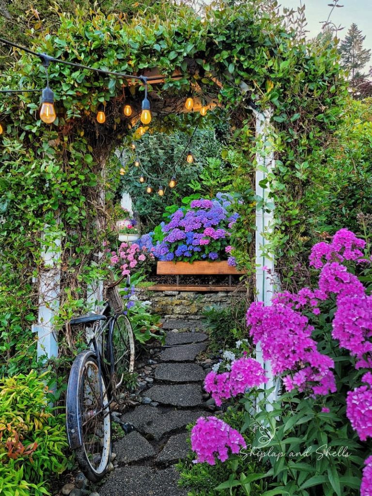 annual and perennial plants: garden path with hydrangeas