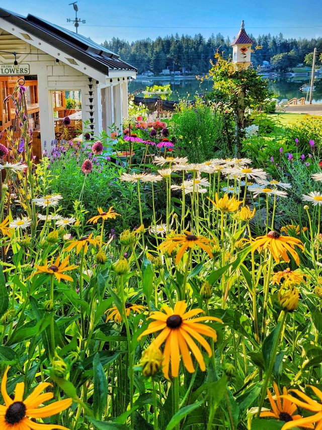 Smart Ideas for a Carefree Garden Space