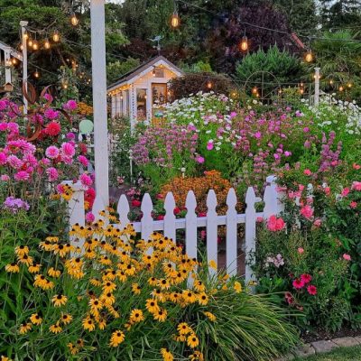 8 Tips for a Successful Cut Flower Garden