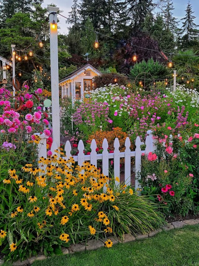 8 Tips for a Successful Cut Flower Garden