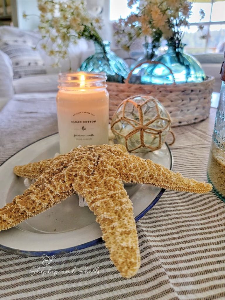 starfish and clean cotton candle on the coffee table