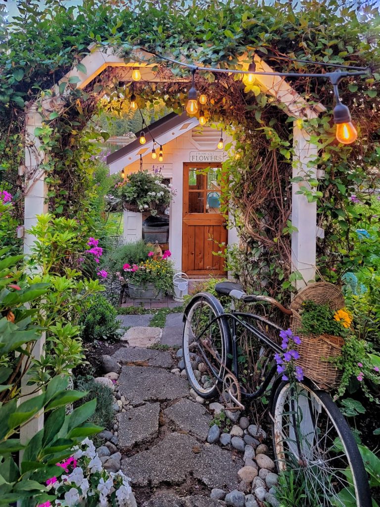 greenhouse in the summer with vintage bike